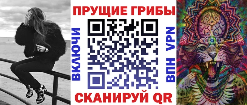 цена наркотик  Кировград  Галлюциногенные грибы мицелий 